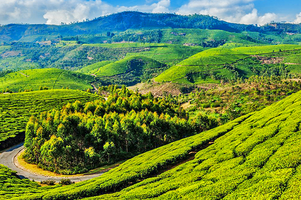 ooty-kodaikanal